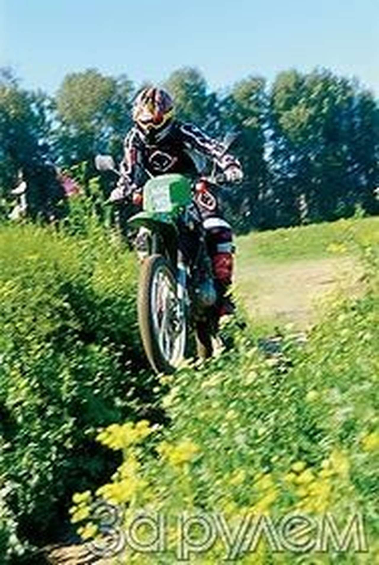 Вот и к нам саранча...