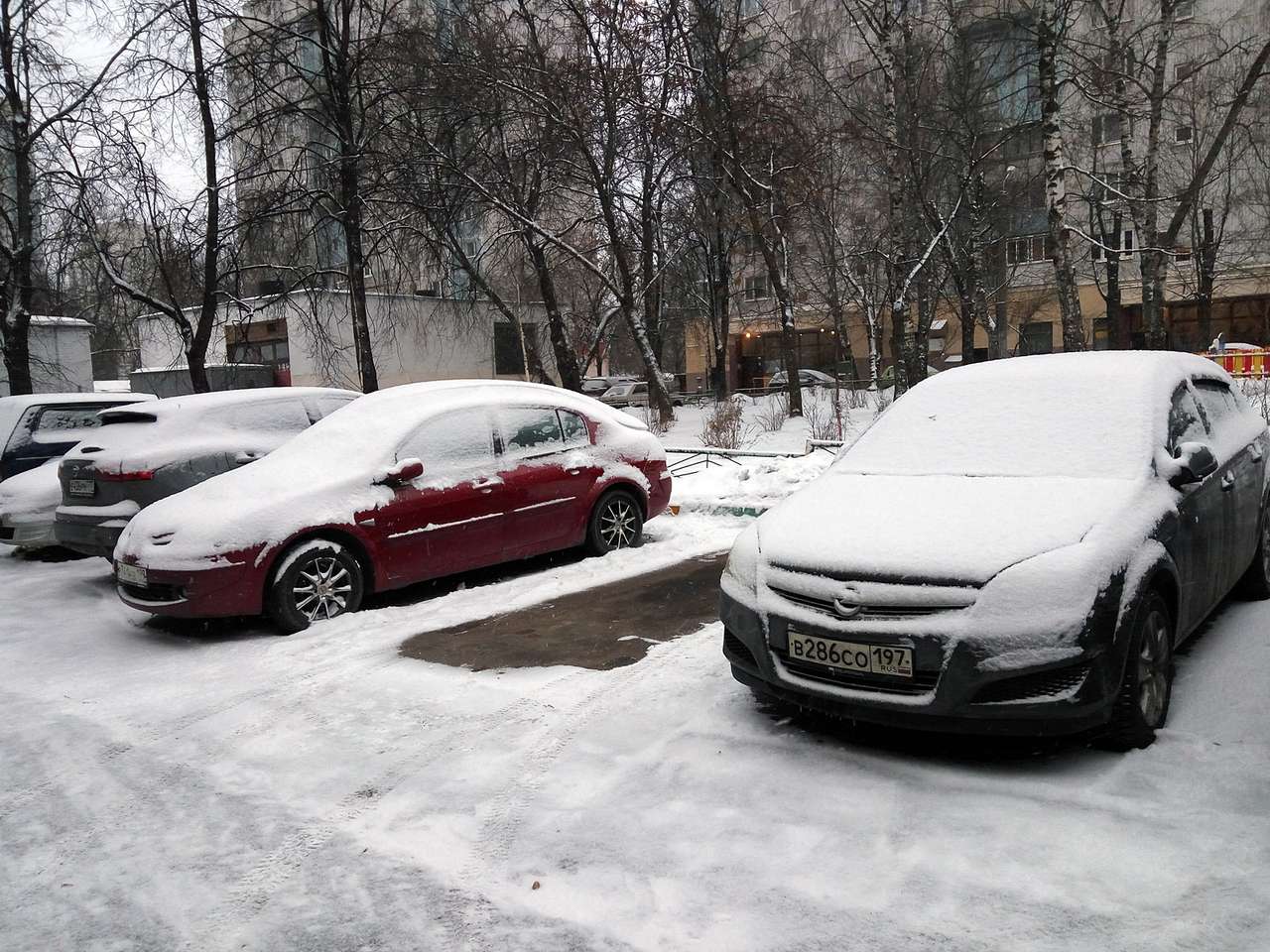 Бороться с угонами начнут еще на стадии автошкол