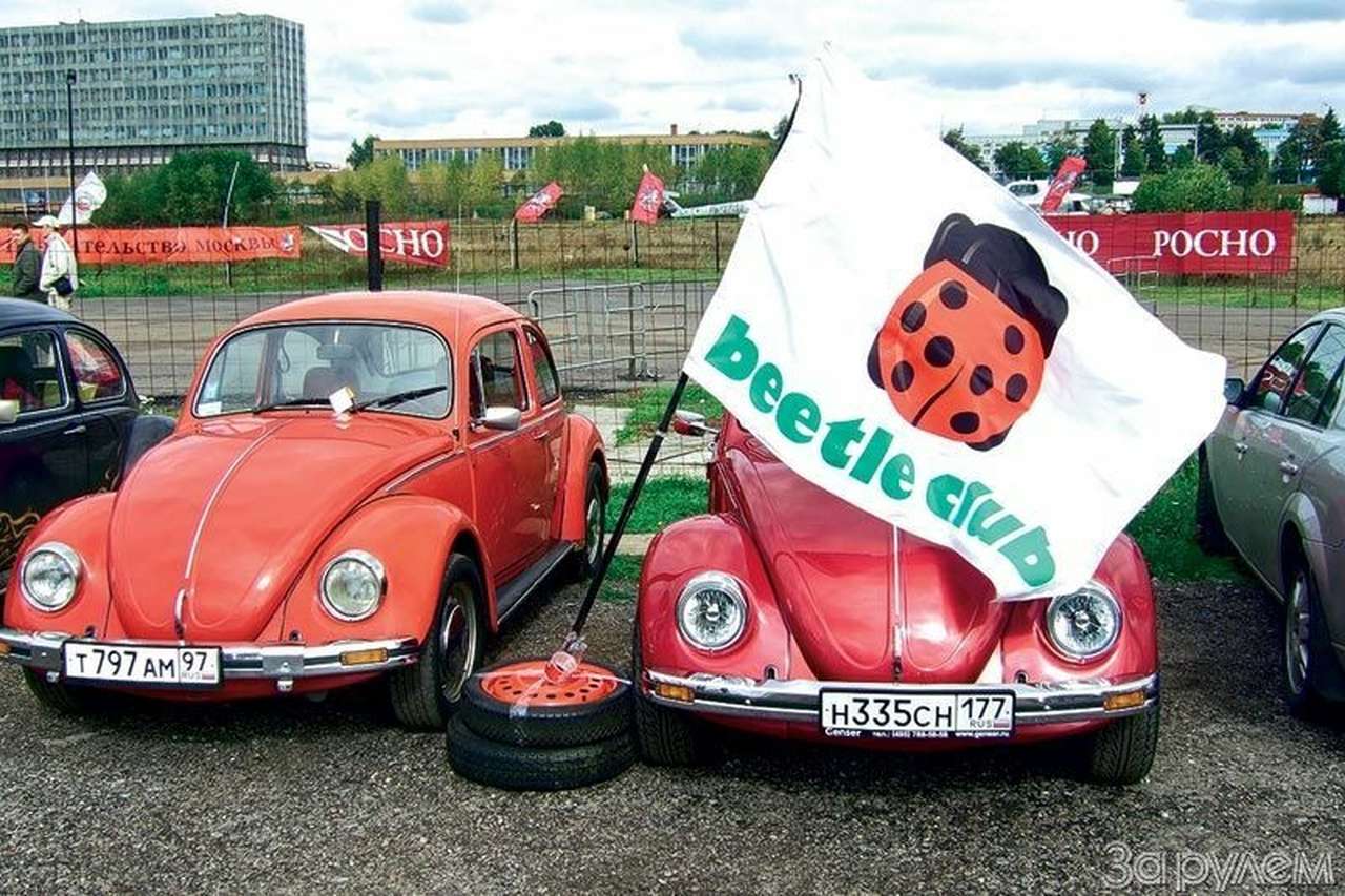 Народный слет