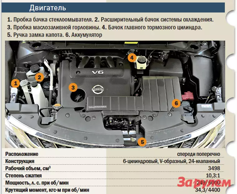 Номер двигателя ниссан мурано z51 где находится