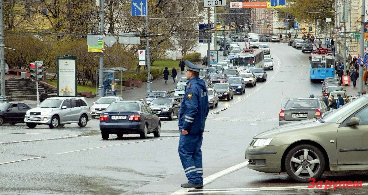 Закон: Поправки с приправой
