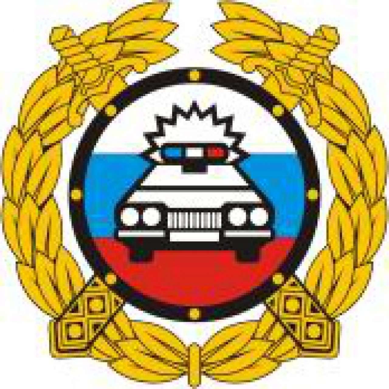 ГИБДД предложила жаловаться по интернету