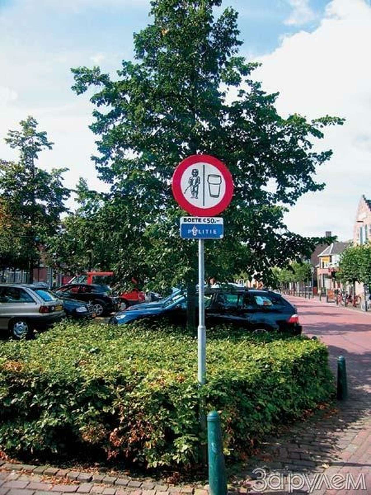 По газонам не ходить