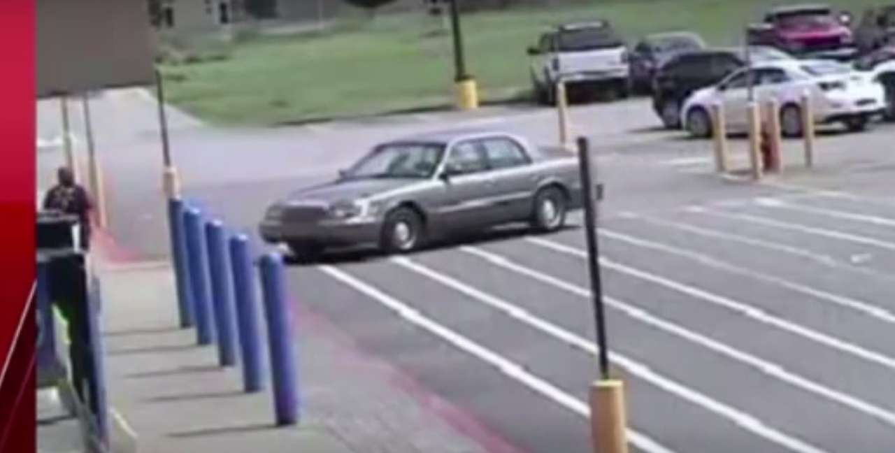 Собачье дело: домашние питомцы угнали автомобиль