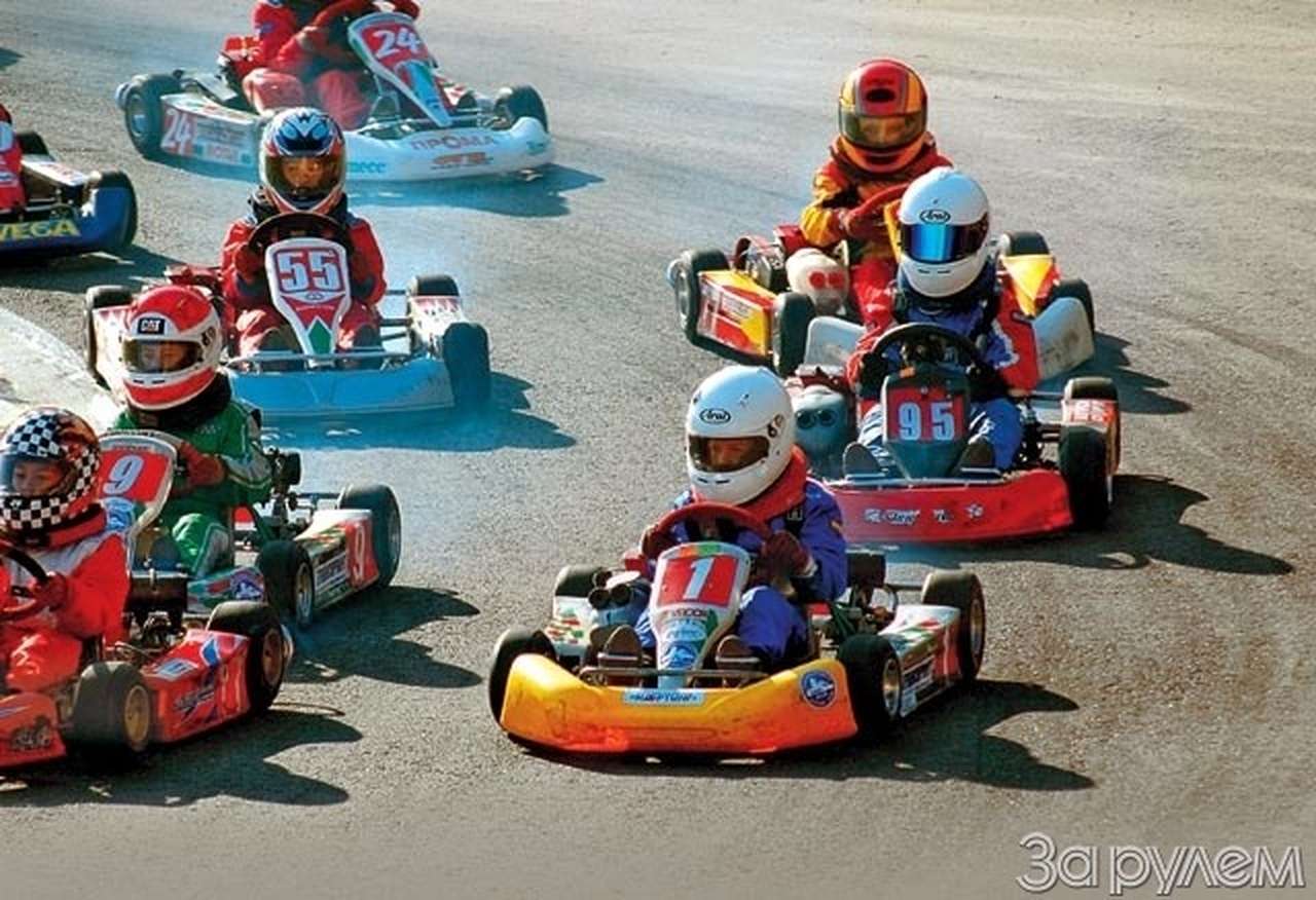 Крепкие корни