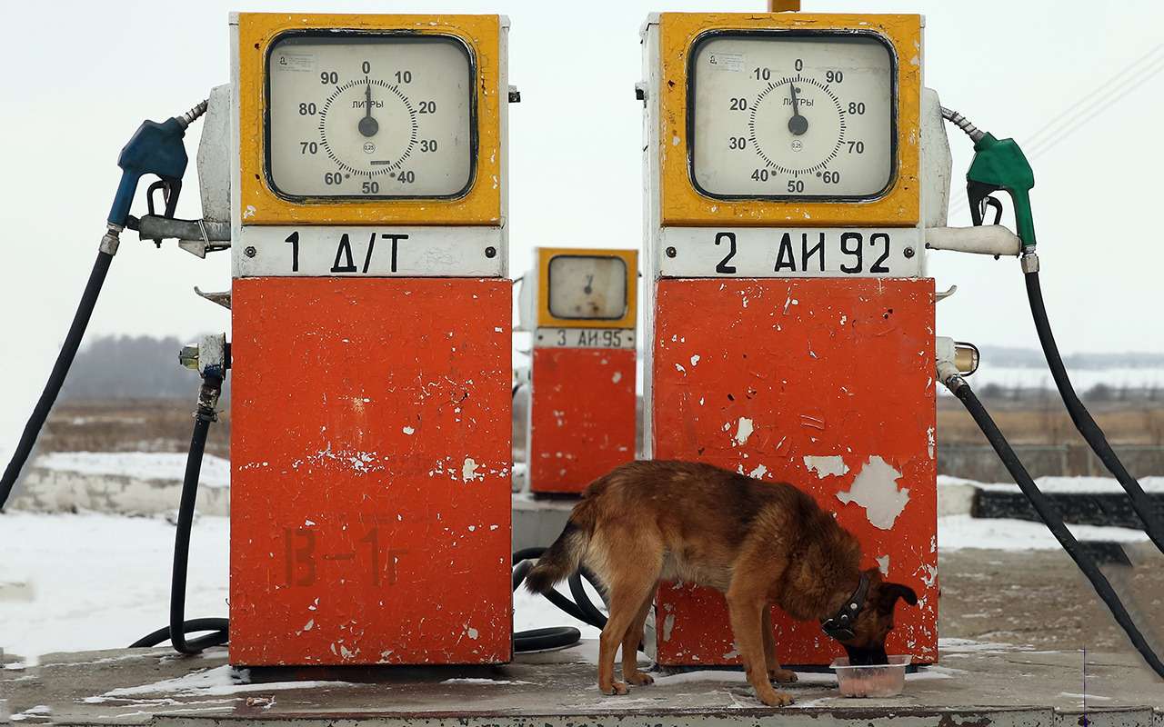 Заправили паленым бензином – что сделать с АЗС (по закону!)