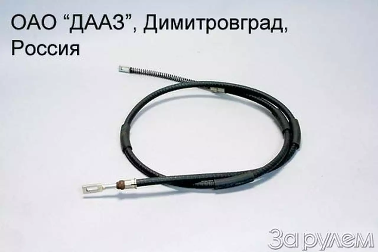 Он у меня ручной…