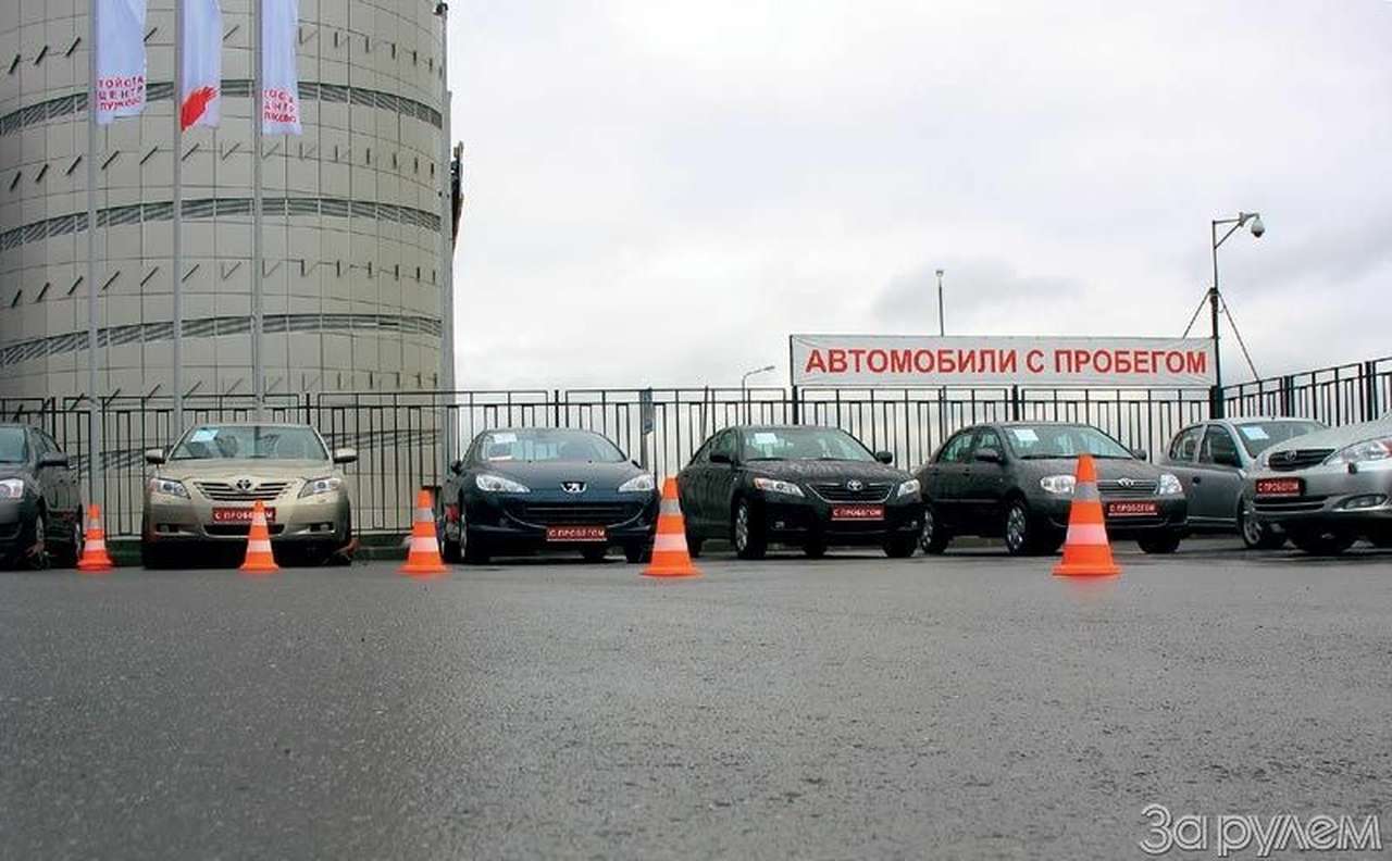 Роза ветров