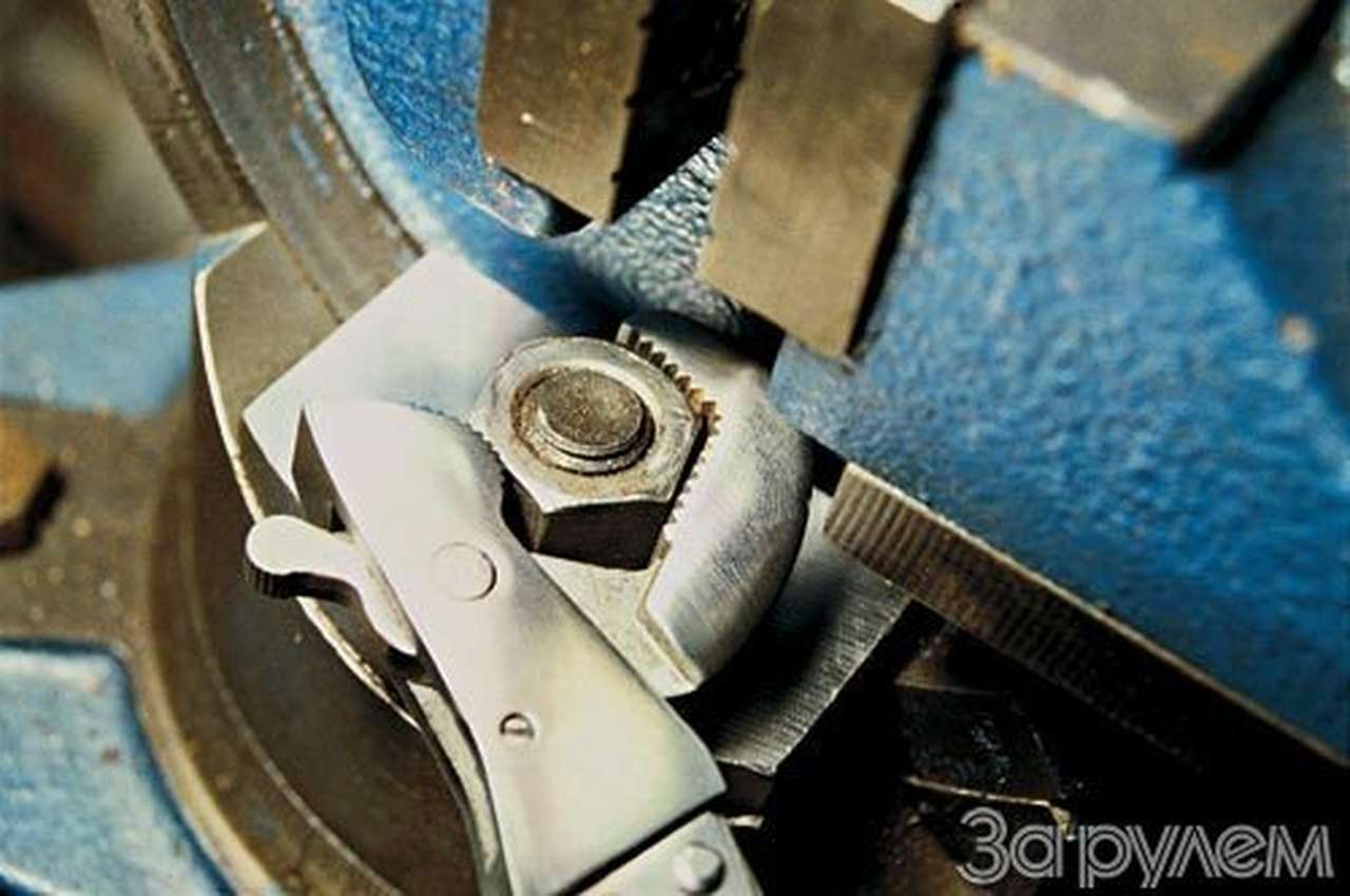 Один за всех