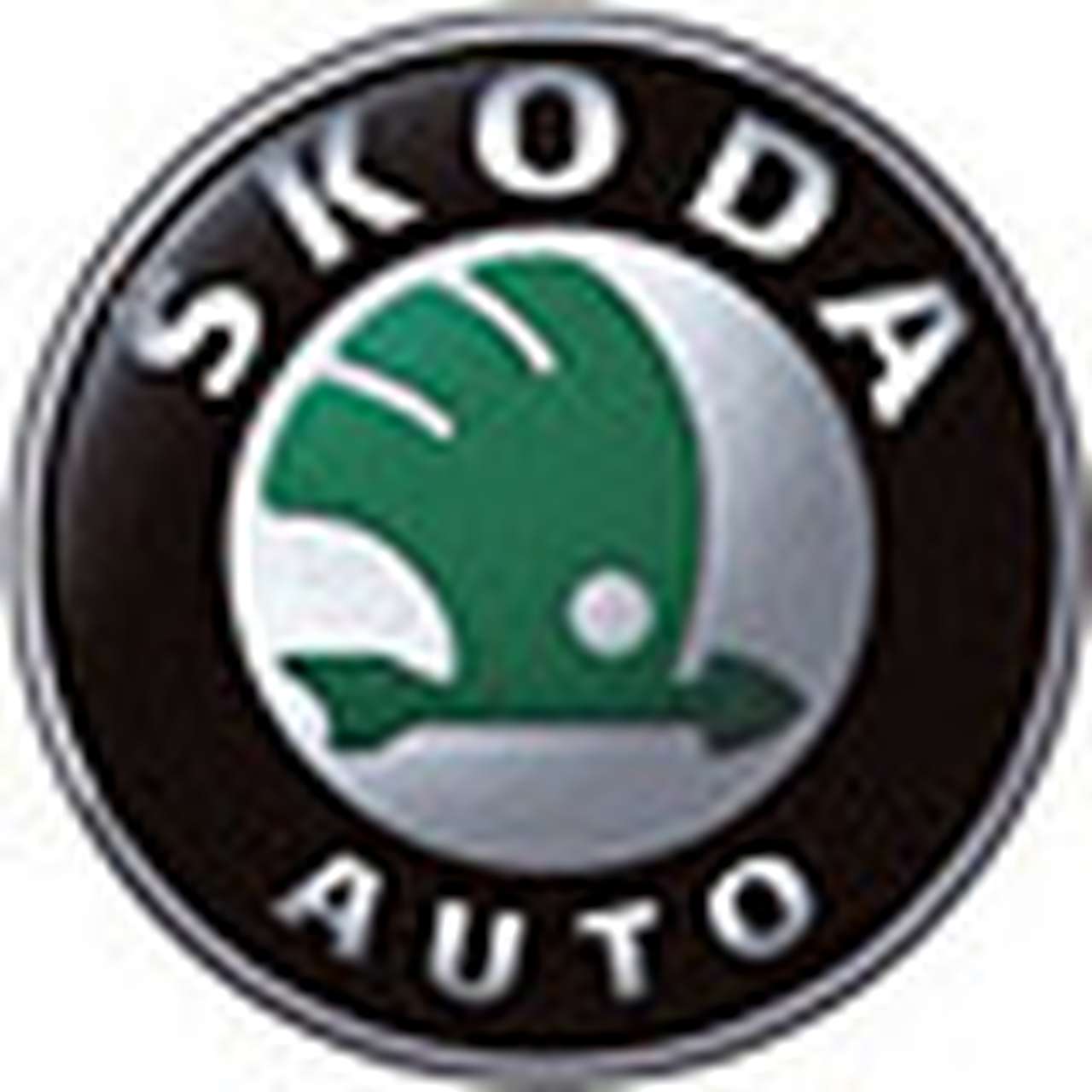 Skoda запускает зимнюю сервисную акцию