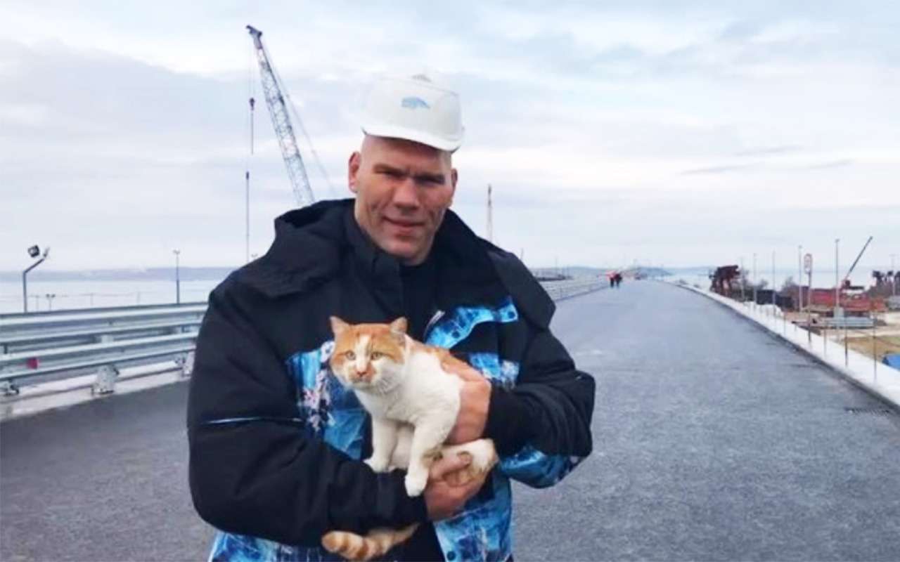 Валуев и котик проинспектировали Крымский мост