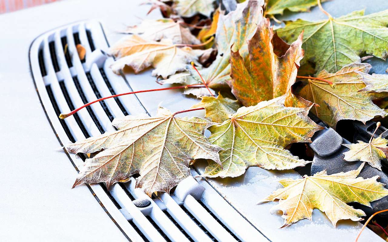 Завтра заморозки: как подготовить автомобиль?