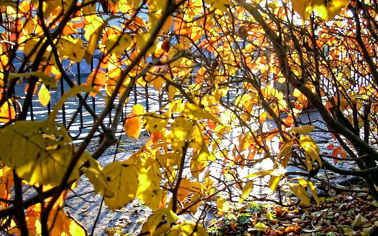 Как пережить предшкольный апокалипсис на дорогах