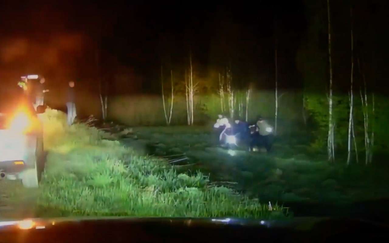 Полиция накрыла банду похитителей премиальных машин (видео)