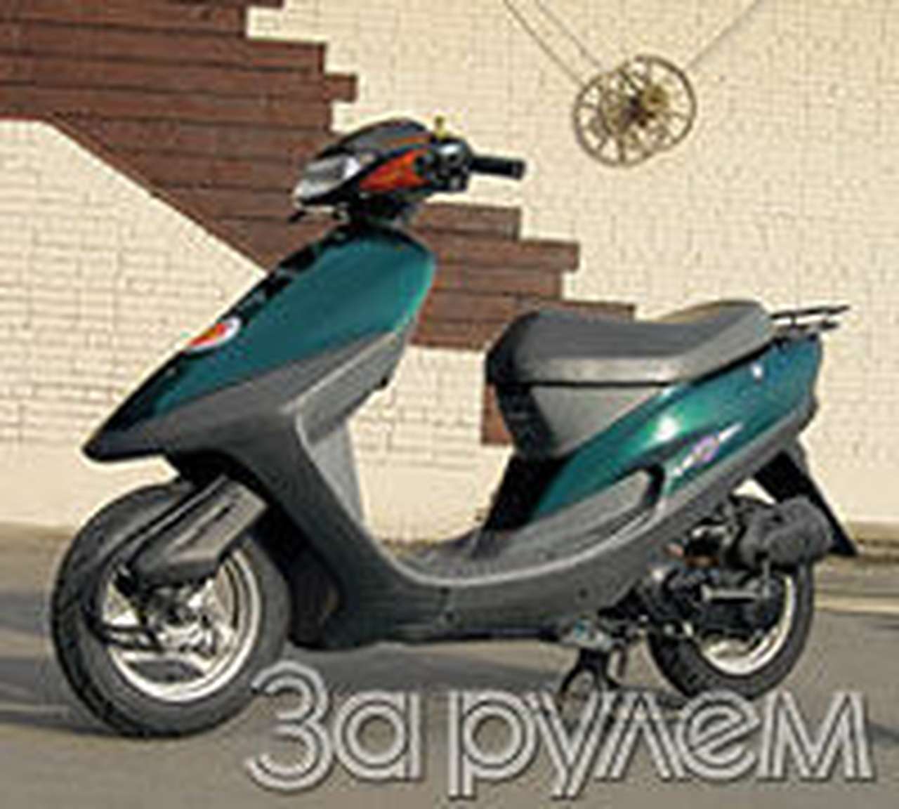 Серый ослик