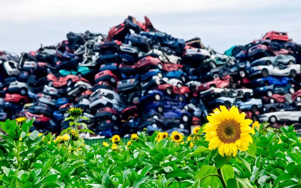 Сохранить жизни и оживить авторынок — для двух серьезных проблем есть общее решение