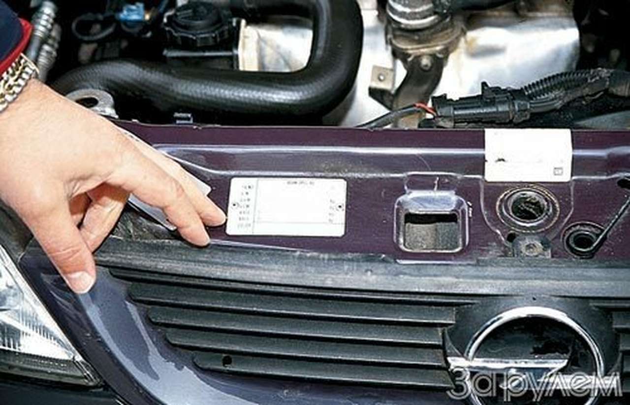 С доставкой на дом