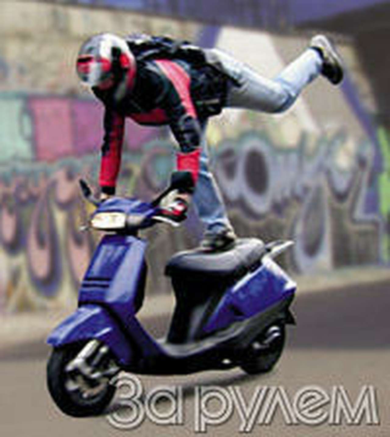 Я люблю свою лошадку