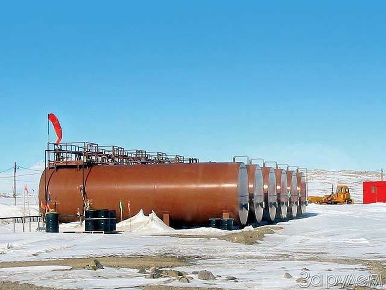 Перекати-поле