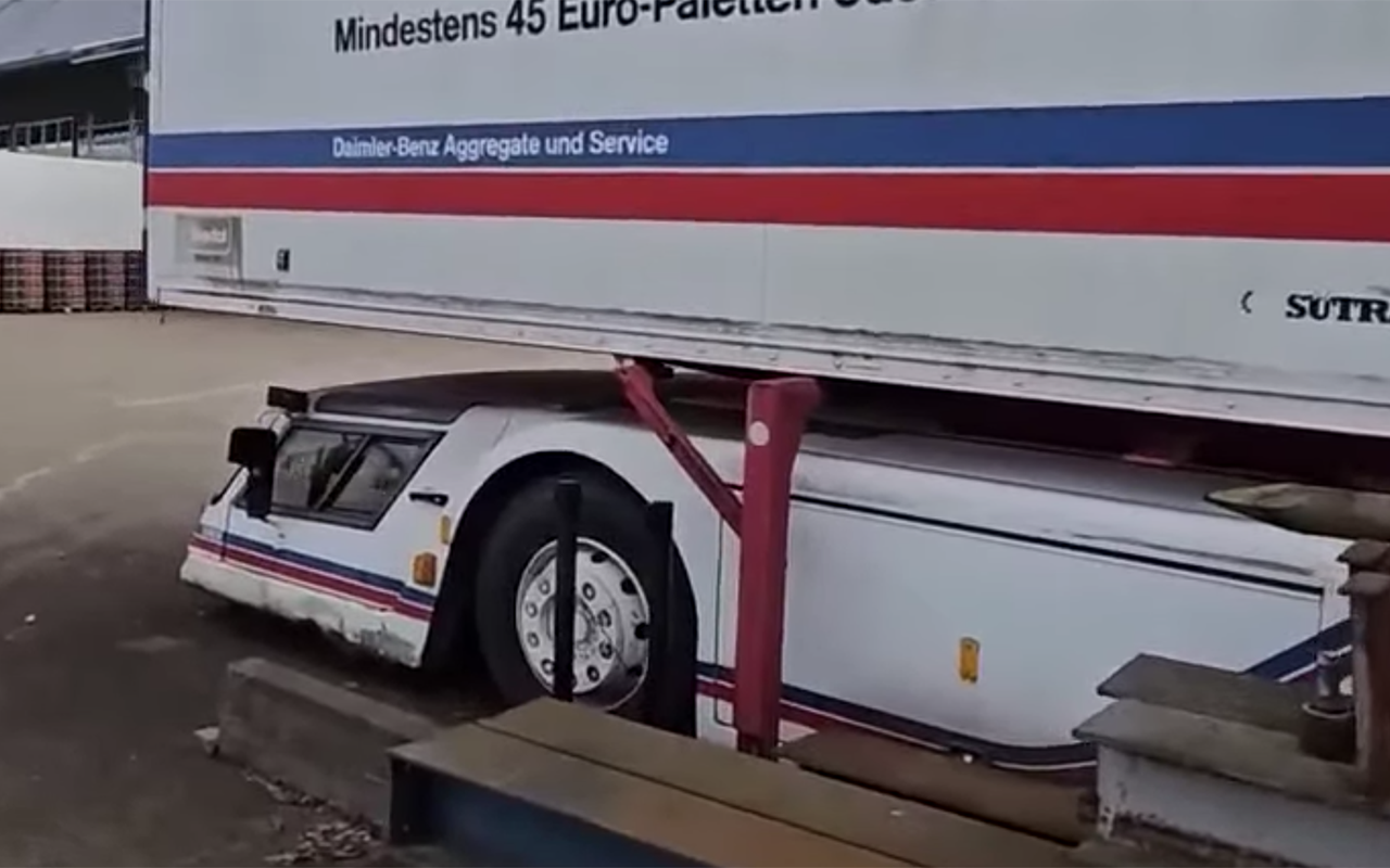 Вопрос для настоящих знатоков: что за зверь на видео?