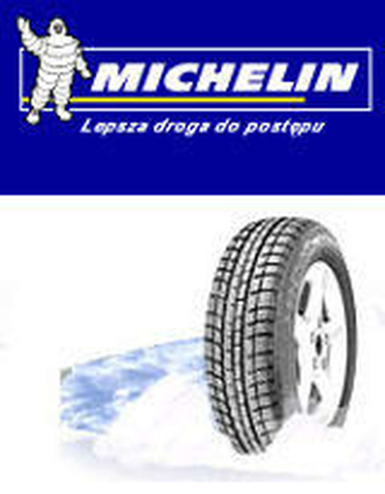 Michelin вкладывает 250 млн.евро в завод в Польше