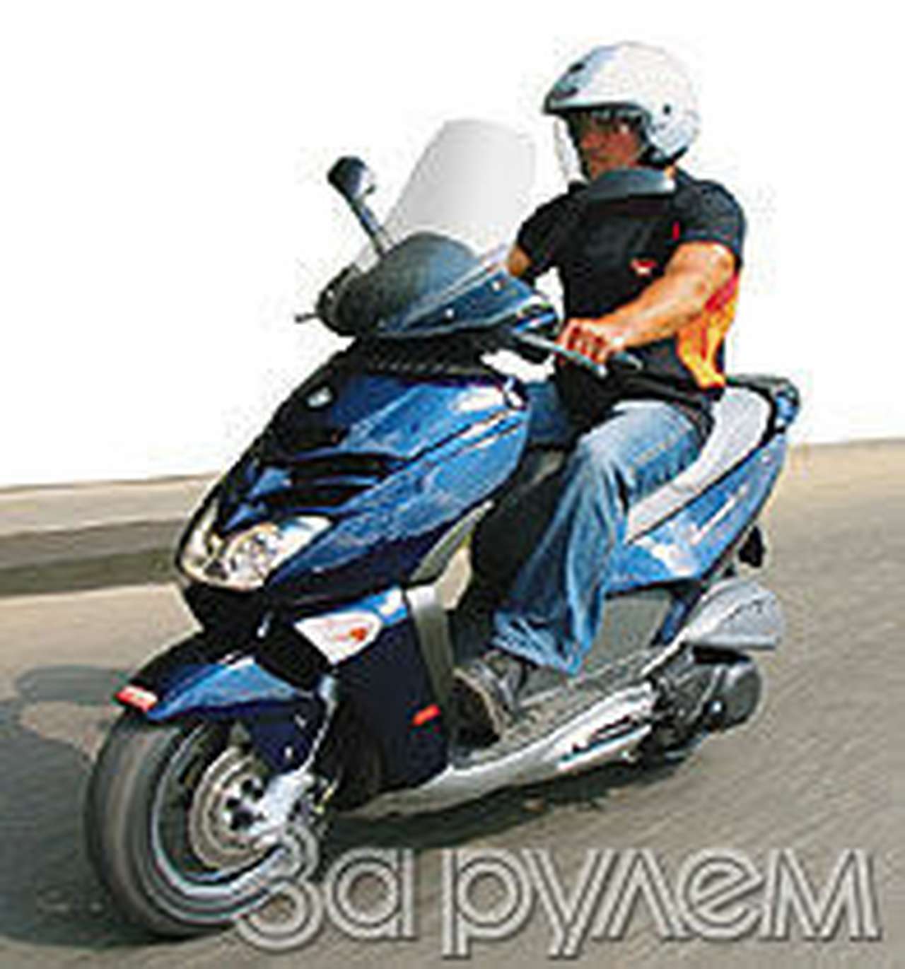 "Лeонардо", ЛЬВИНОЕ СЕРДЦЕ