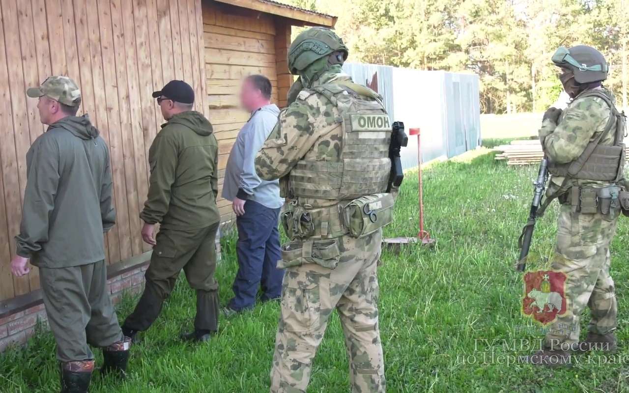 Вывозили КАМАЗами: на видео показали логово «черных лесорубов»