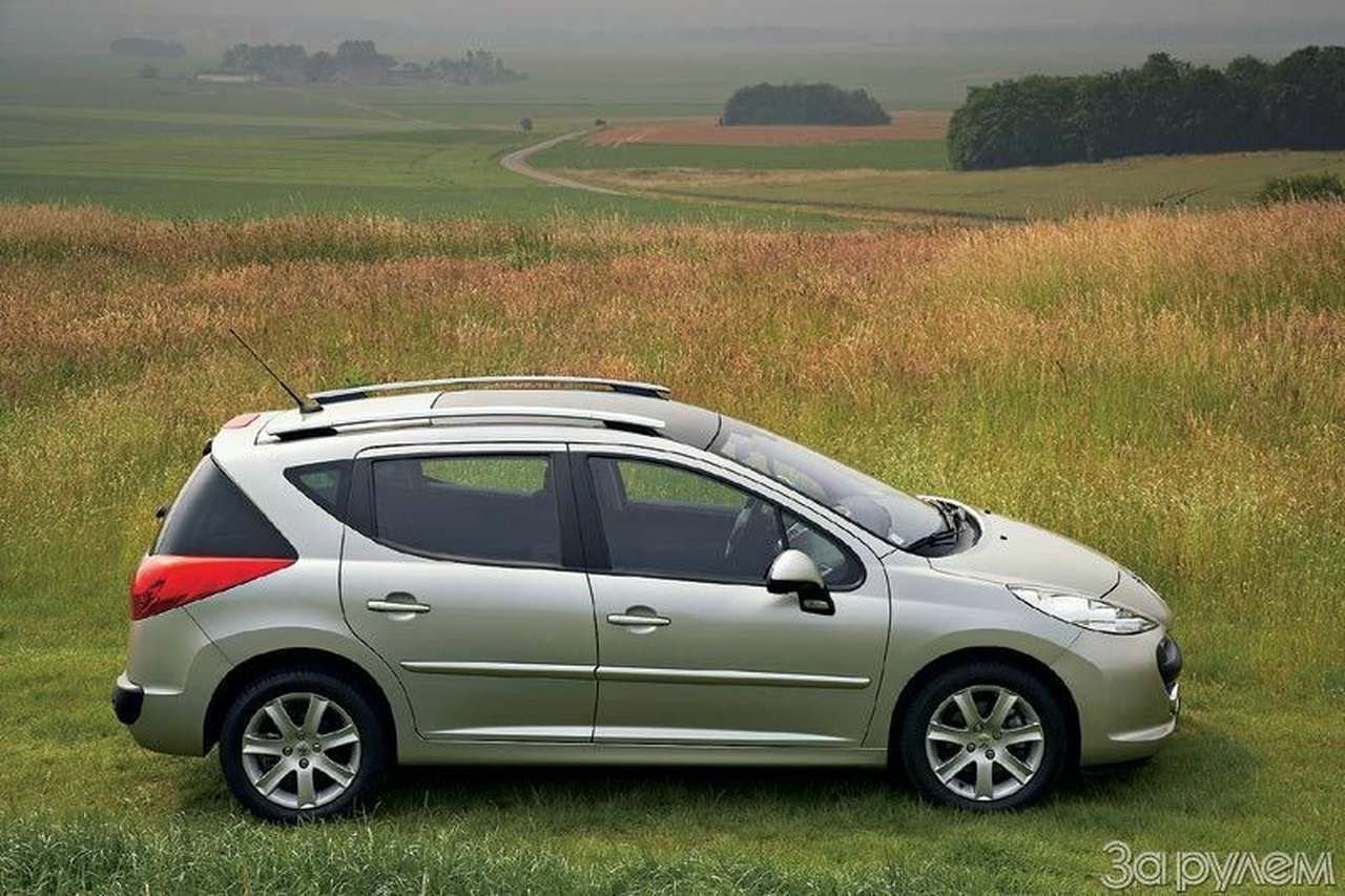 Львиная доля