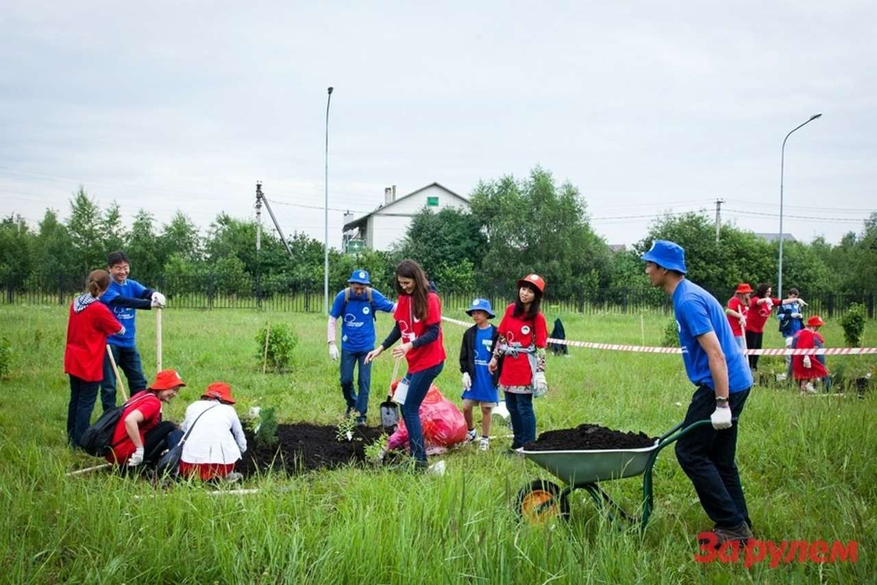 Toyota устроила «Зеленый день»