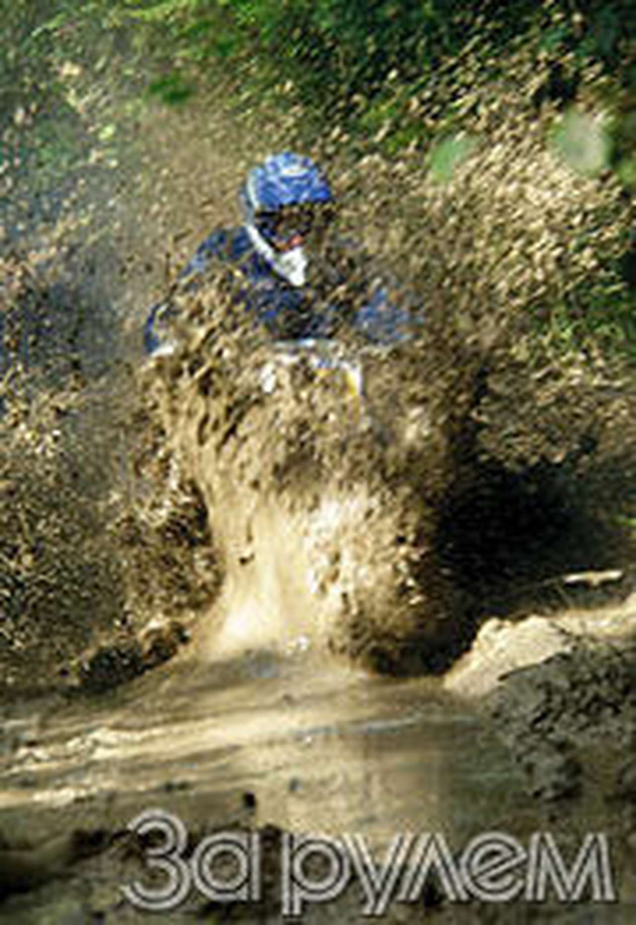 В грязи счастье наше