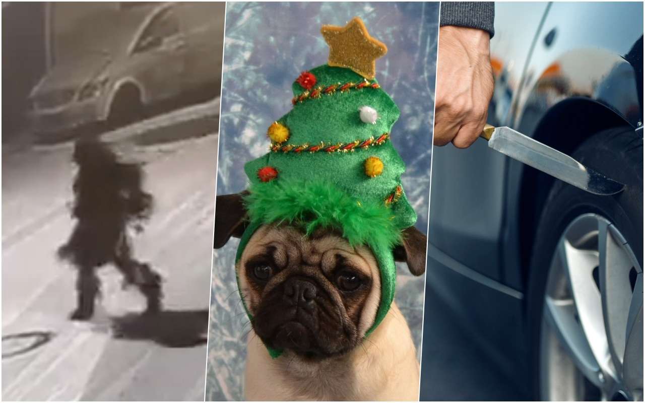 Разыскивается… елка: человек в новогоднем костюме порезал шины у машин