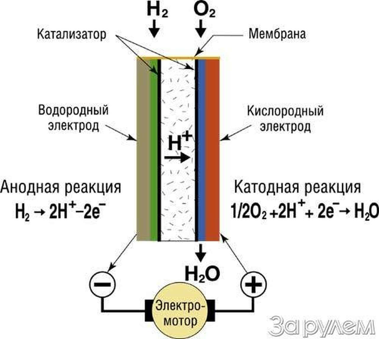 Элемент новизны