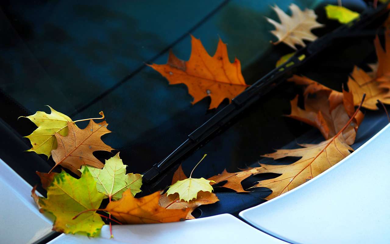 Дворники плохо чистят? 5 способов восстановления