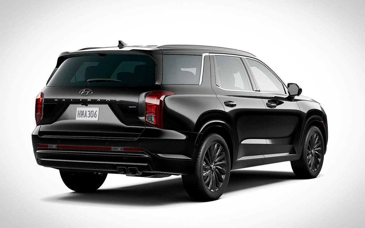 Palisade Calligraphy Night Edition