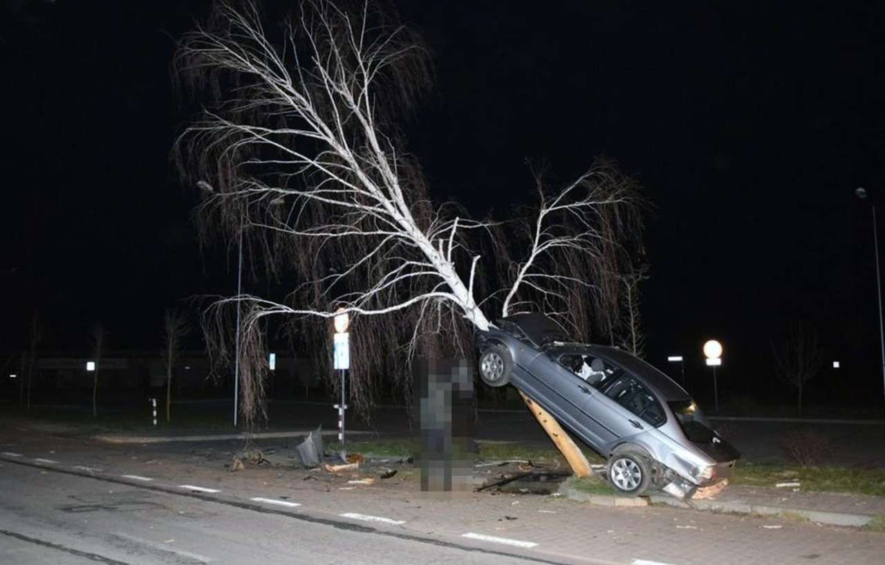 BMW «припарковали»... на березе. И такое бывает!