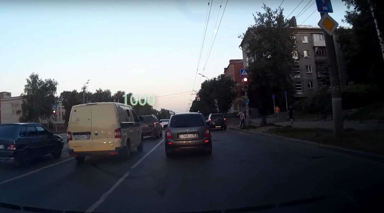 Стадное чувство подвело (ВИДЕО)