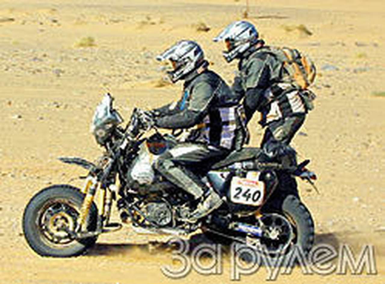 Гонка под знаком печали