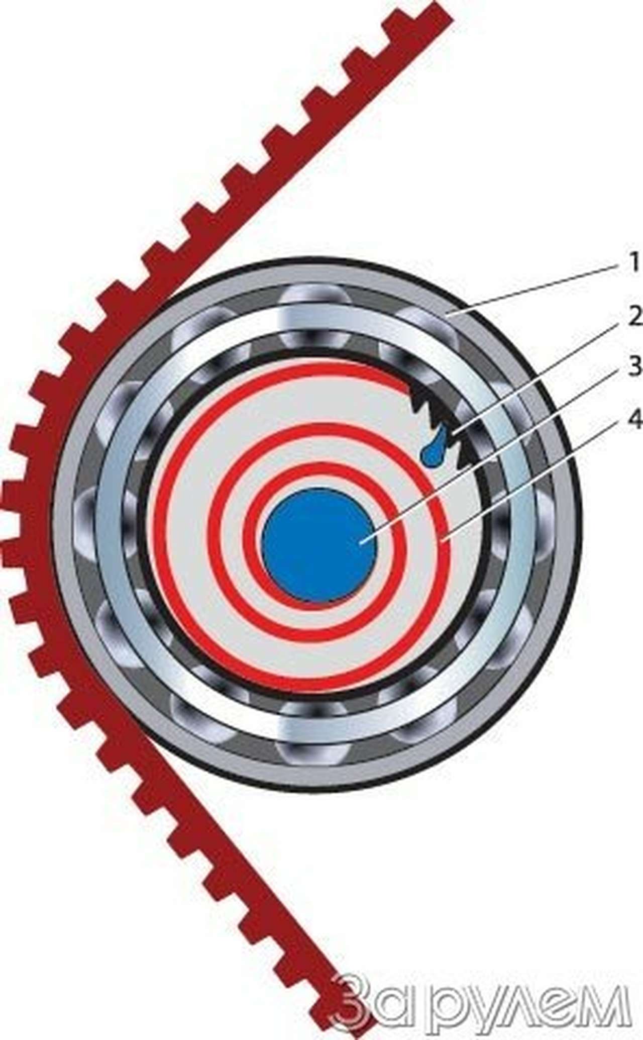 Умный эксцентричный