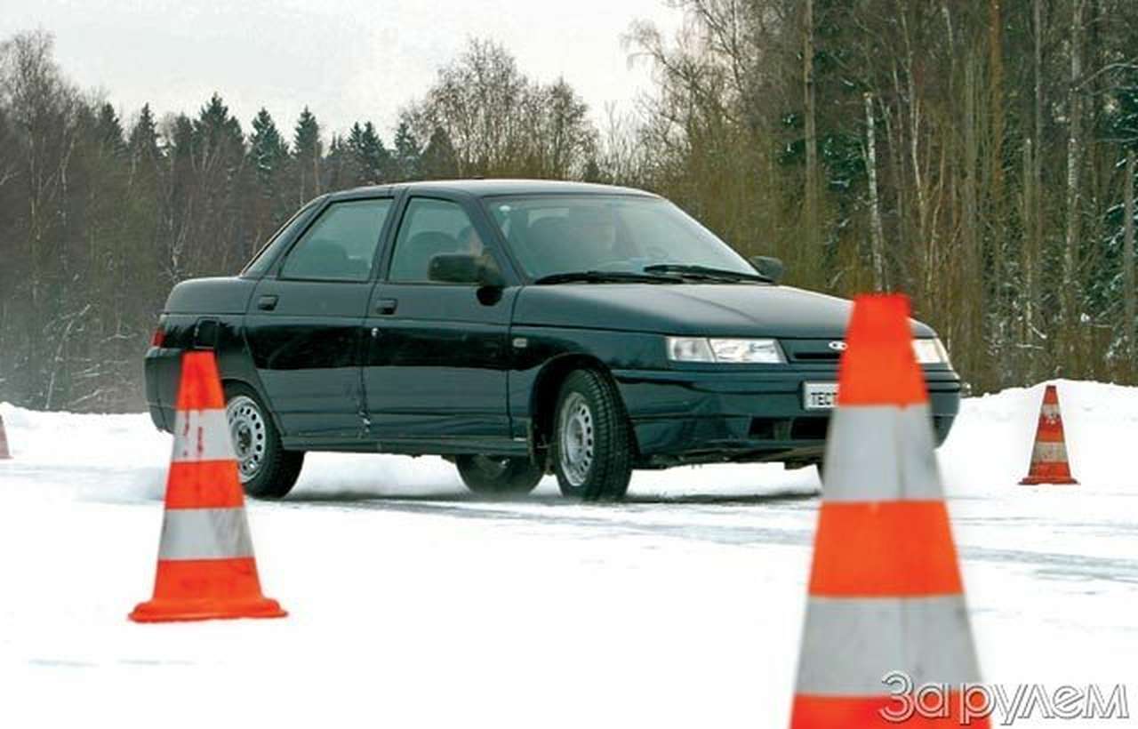 Предзимние смотрины