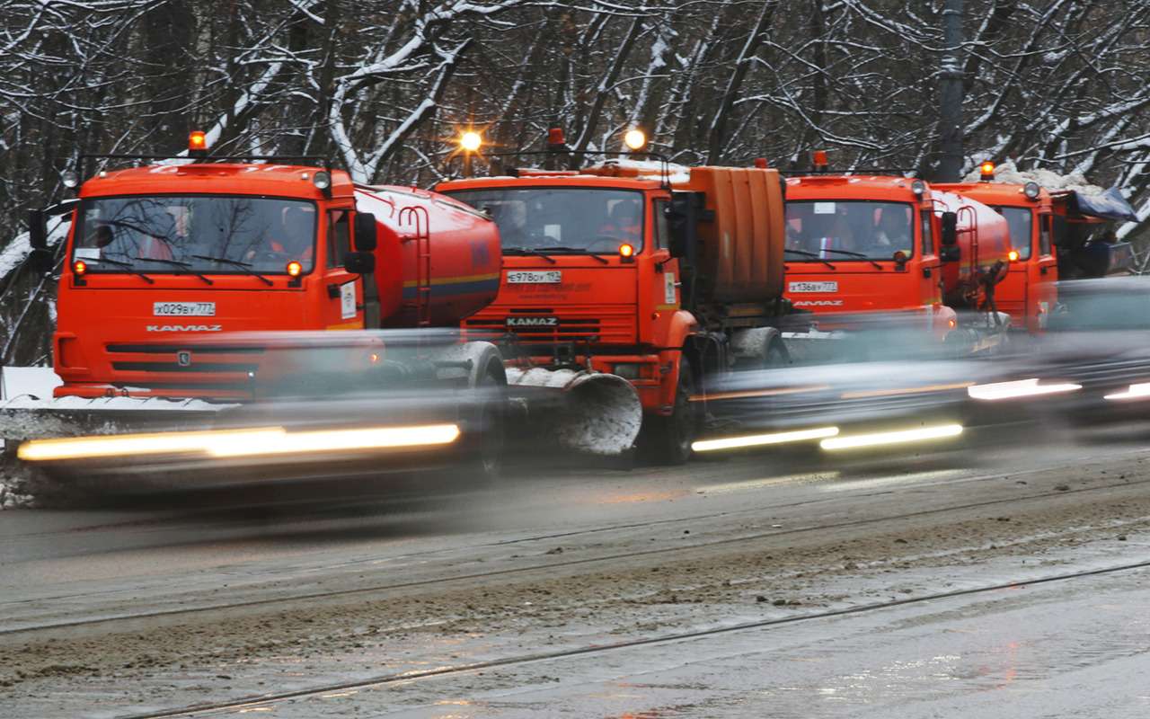 Наш новый противогололедный реагент: деревья станут зелеными!