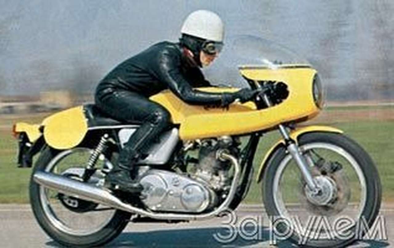 Желаете породистого, сэр?