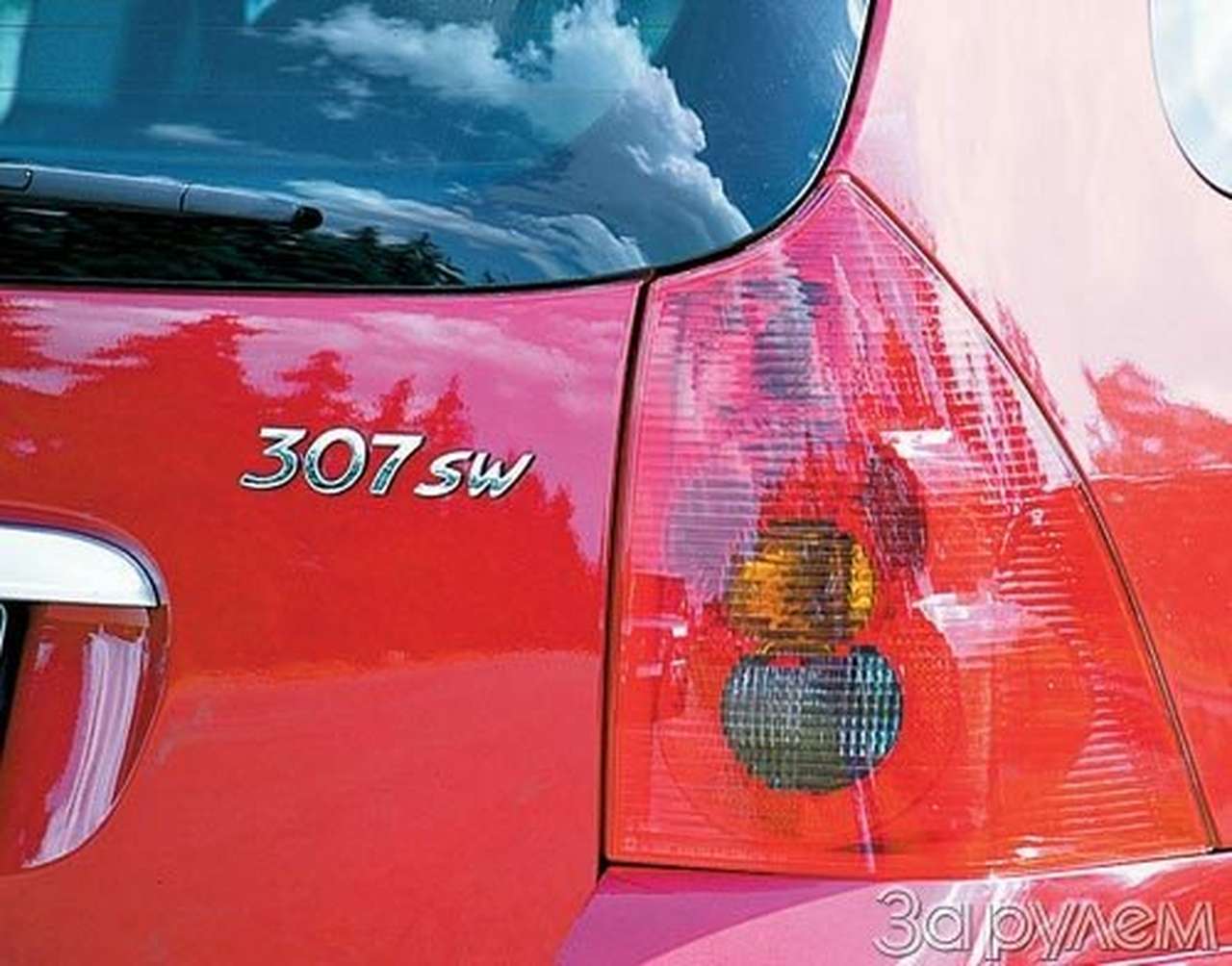 "лев" под стеклянной крышей