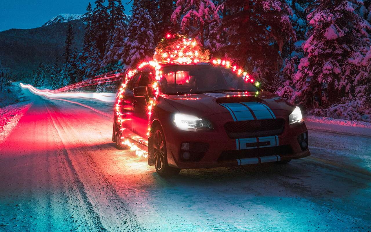 На чем мог бы ездить Дед Мороз: наши предположения