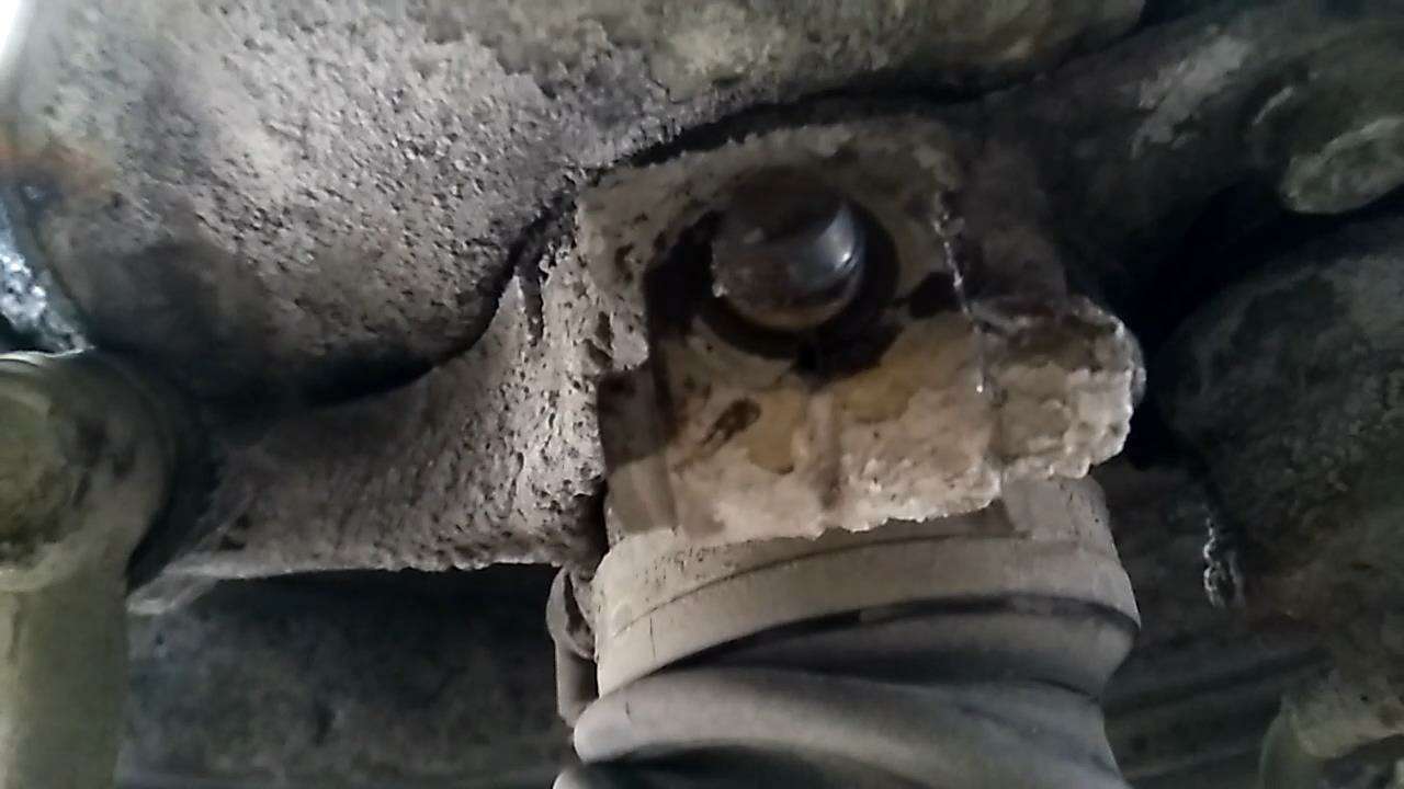 На фото огрызок пальца торчит из под корочки светлой, дорожной грязи