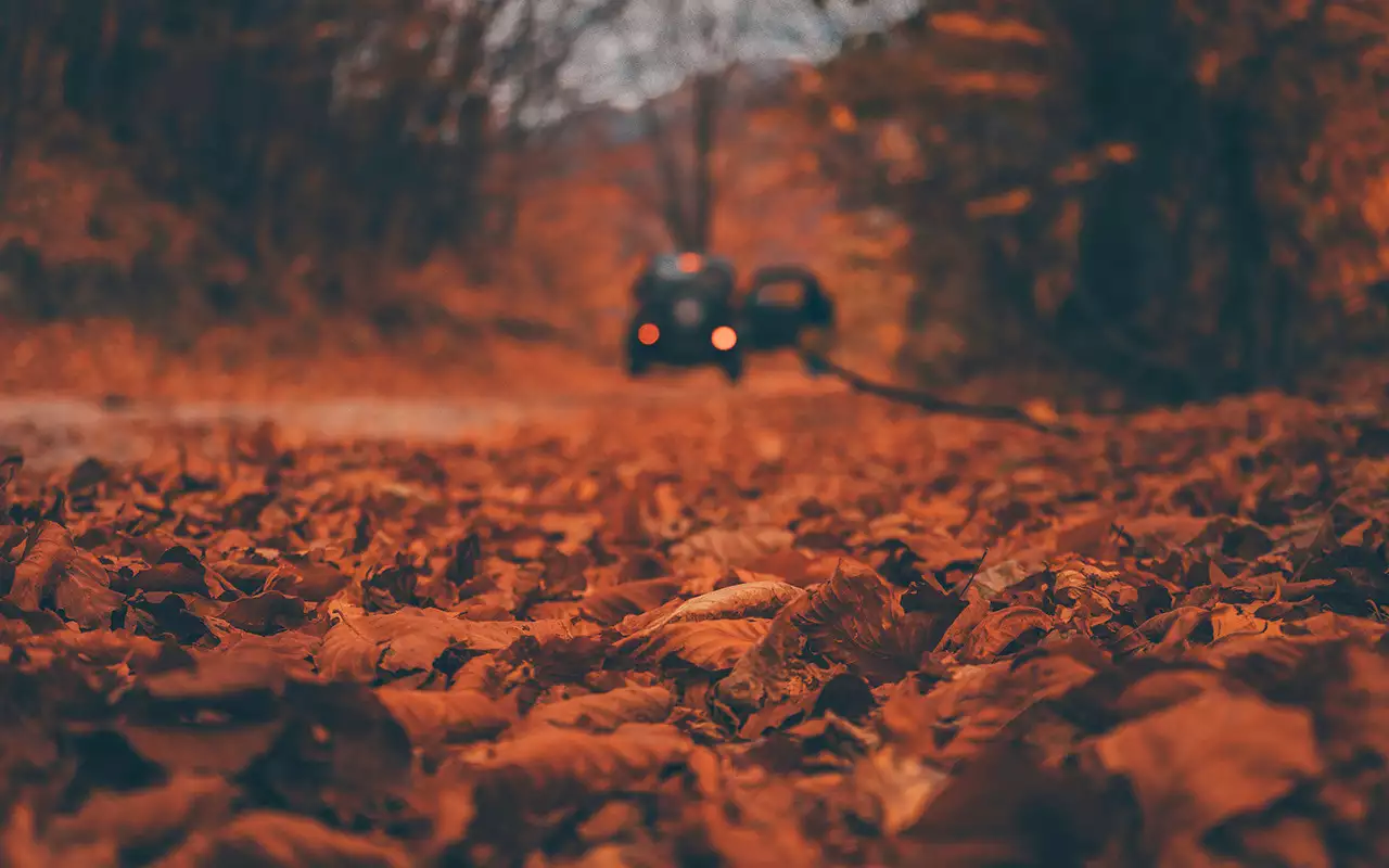 Что обязательно нужно сделать с машиной в октябре — советы ЗР