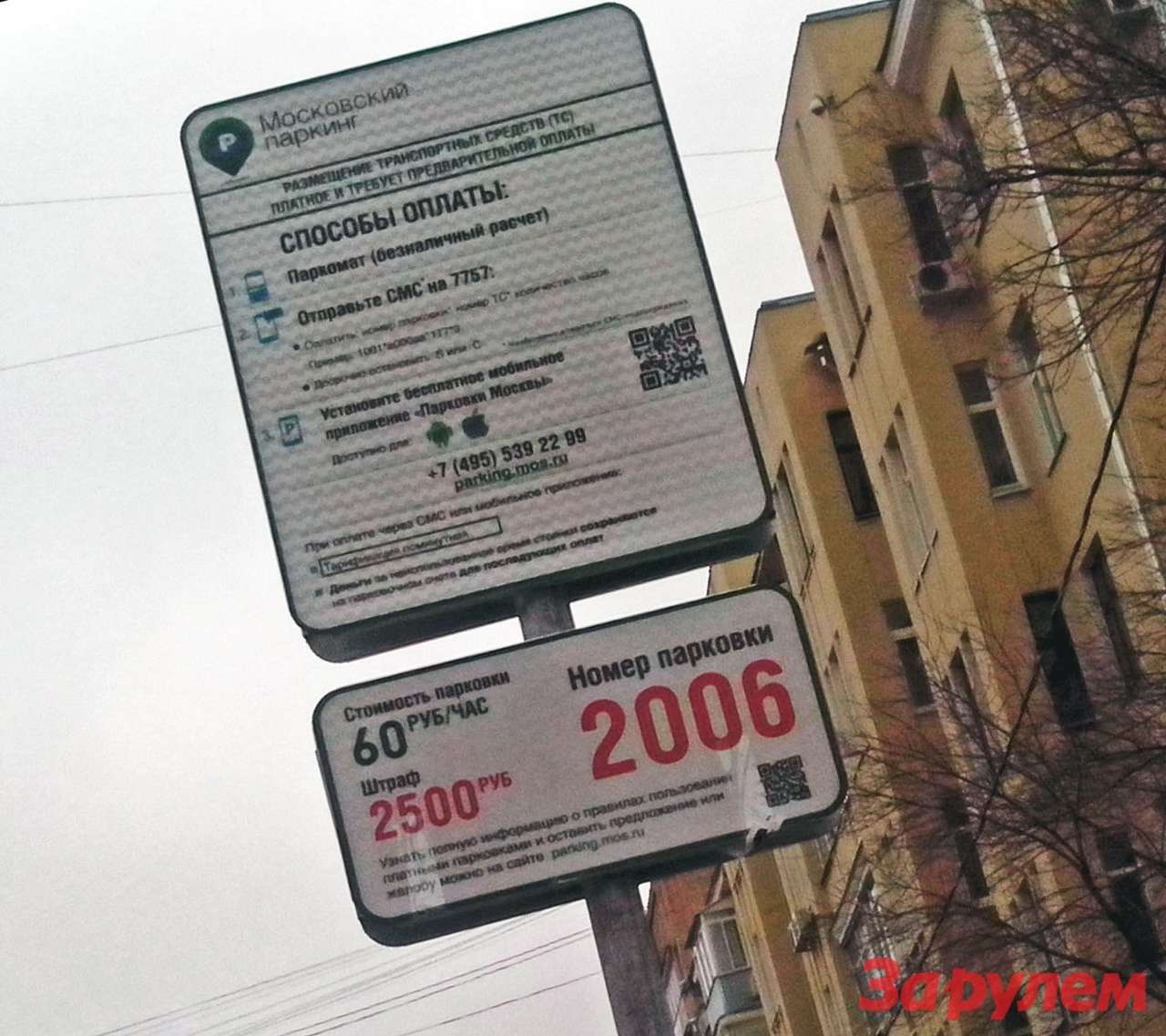 Питер изучает опыт Москвы в части введения платных парковок в центре