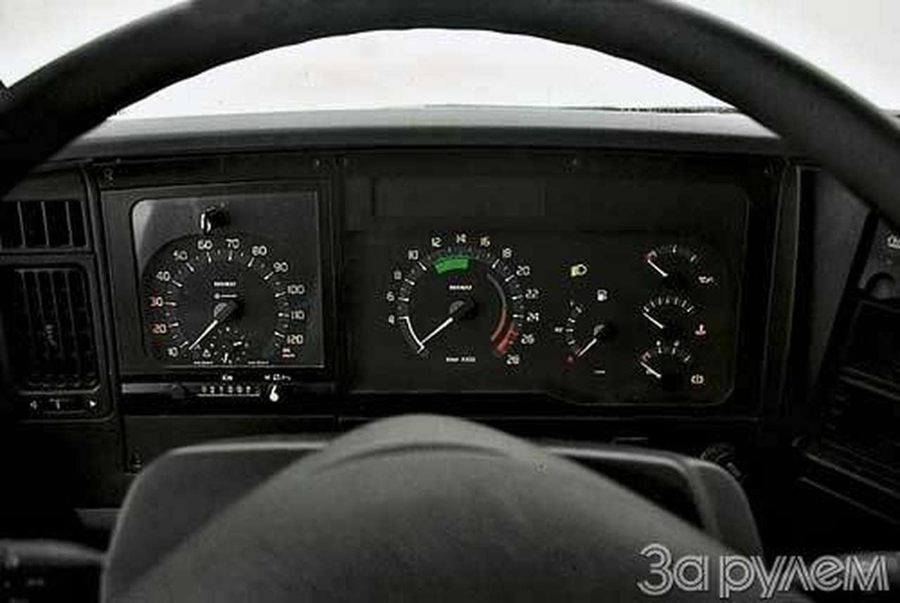 Пиренейский тяжеловоз