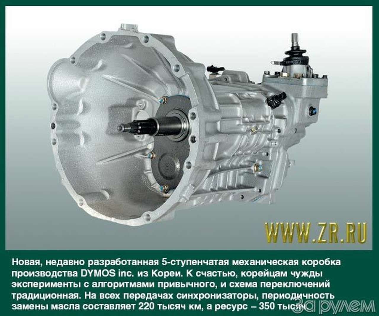 Зимняя спячка