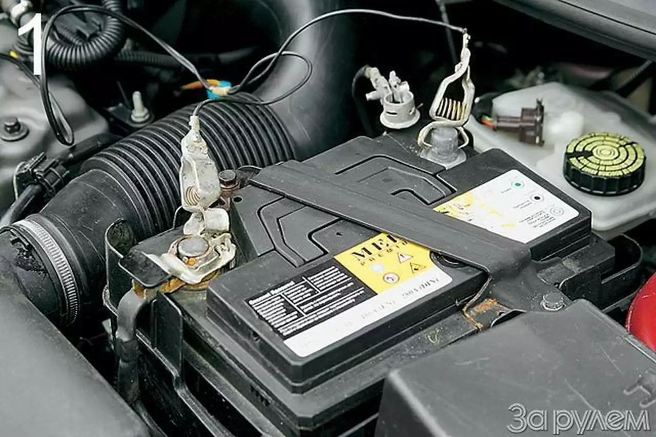 Ручные «крокодилы»