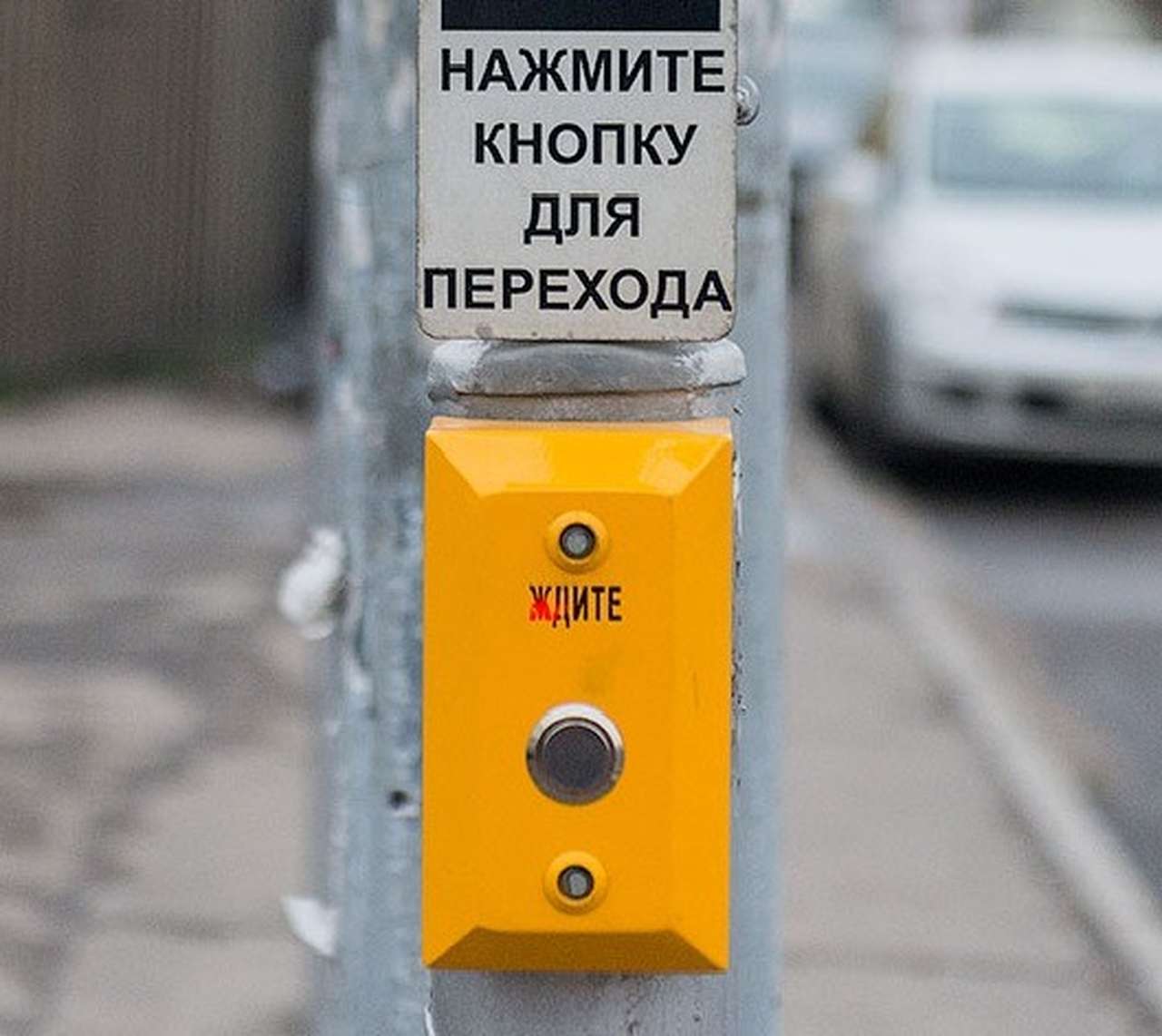 Кнопки экстренного вызова появятся на пешеходных переходах